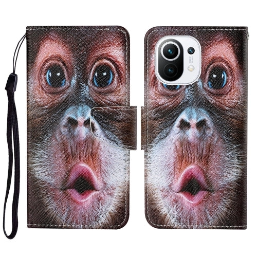 For Xiaomi Mi 11 Colored Drawing Pattern Horizontal Flip Leather Case with Holder  Card Slots