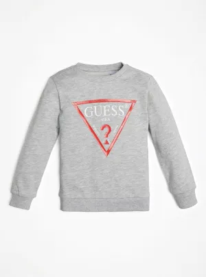 Grey Long Sleeve Fleece Pullover Top (2-7)
