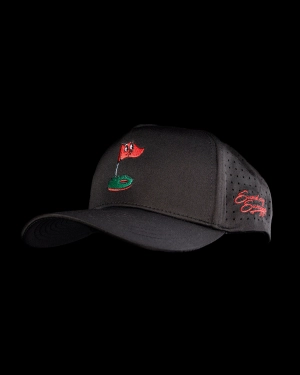 Sticky Snapback Hat