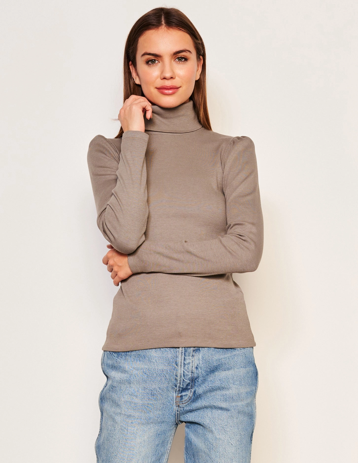 Sundry Puff Sleeve Turtle Neck in Taupe